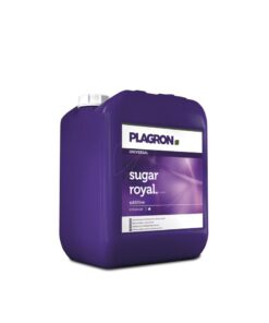 Alternative view of Sugar royal plagron