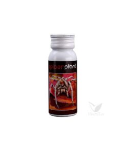 Foto Spider plant 15 ml
