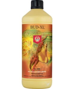 Foto Bud xl h&g