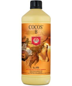 Alternative view of Coco a+b h&g