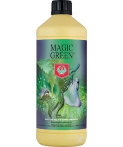 Foto Magic green h&g
