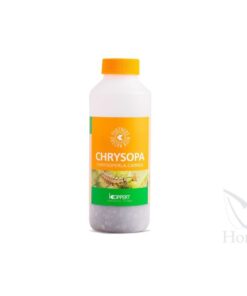 Foto Chrysopa 1000 (pulgon) koppert