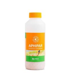 Foto Aphipar 500 (aphidius colemani) koppert