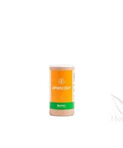 Foto Aphiscout 250 (avispas para pulgon) koppert