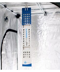 Foto Cargo dry plus 1000 g (6 u) integra boost