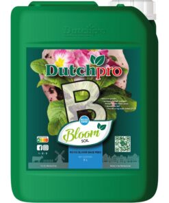 Alternative view of Tierra a+b bloom agua dura dutchpro