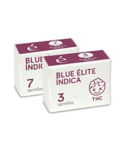 Blue elite indica 100% premium line elite seeds