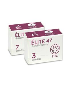 Elite 47 100% auto line elite seeds