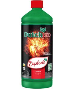 Alternative view of Explode dutchpro