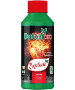 Foto Explode dutchpro