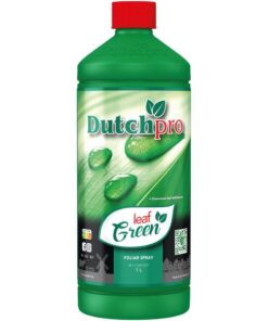 Foto Leaf green dutchpro