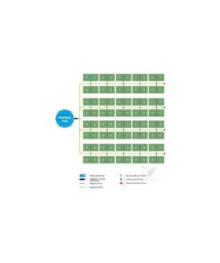 Alternative view of Easy2grow 80