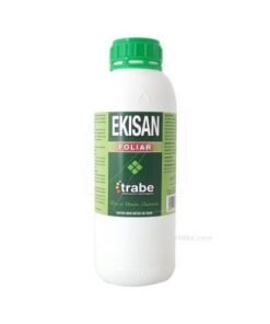 Foto Ekisan cola de caballo trabe
