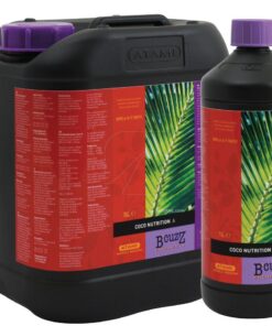 Coco a+b b´cuzz - Imagen 3