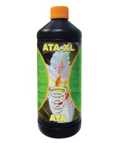 Foto Xl ata
