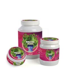 Foto Brutal buds