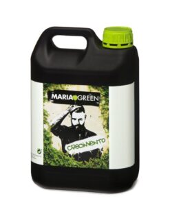 Crecimiento maria green - Imagen 3