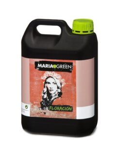 Floracion maria green - Imagen 3