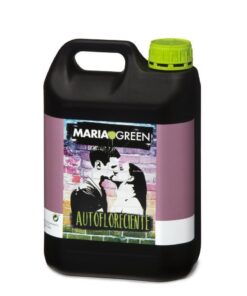 Autofloreciente maria green - Imagen 3