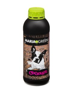 Foto Cogollos maria green