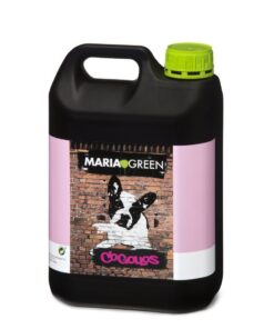 Cogollos maria green - Imagen 2