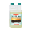 Foto Canna start es canna