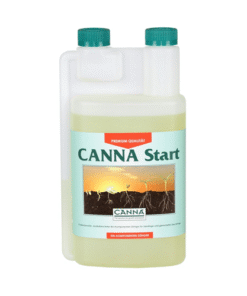 Foto Canna start es canna