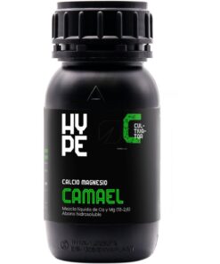 Foto Camael the hype company