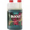 Foto Canna boost acelerator