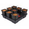 Foto Wilma xxl 8 (18l)