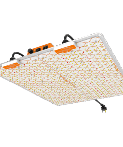 Ignator heroled f480w - Imagen 3