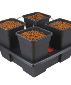 Foto Wilma large 4 (18l)