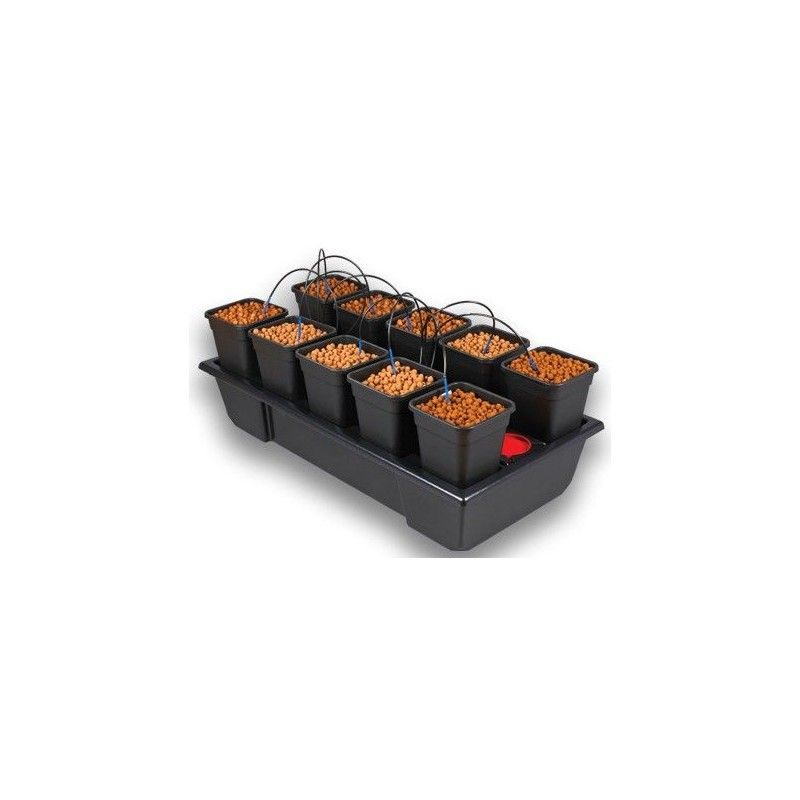 Wilma small wide 10 (6l) Foto Wilma small wide 10 (6l)