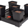 Foto Wilma v2 xxl 5 (25l)