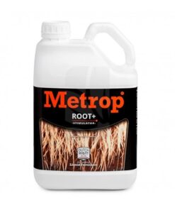 Foto Root +