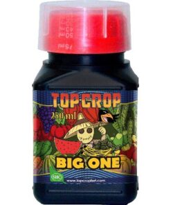 Foto Big One Top Crop 250ml