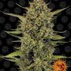 Foto Acapulco gold 100% barney's farm seeds
