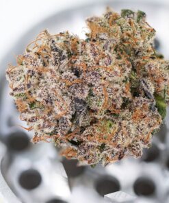 Foto Auto mimosa punch dutch passion