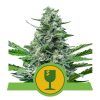 Foto Royal critical automatic royal queen seeds