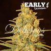 Foto Critical sensi star early version 100% delicious