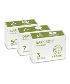 Foto Dark rose auto cbd 100% elite seeds