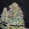 Foto Delicious cookies auto delicious