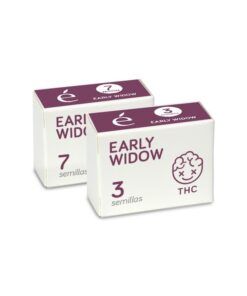 Foto Early widow 100% basic line elite seeds