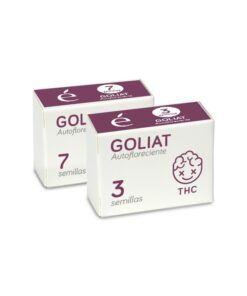 Foto Goliat 100% auto line elite seeds