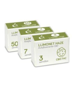 Foto Llimonet haze-auto.cbd 100% auto cbd elite seeds