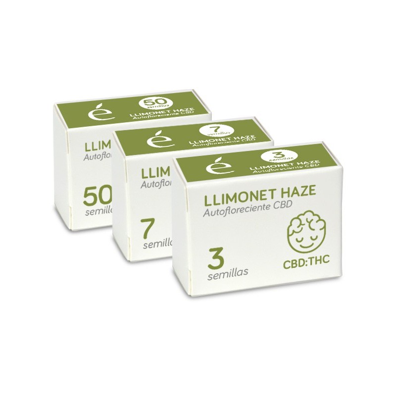Foto Llimonet haze-auto.cbd 100% auto cbd elite seeds