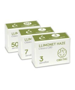 Foto Llimonet haze cbd 100% clasica cbd elite seeds