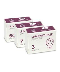 Foto Llimonet haze 100% premium line elite seeds