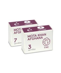 Foto Mota khan afghana 100% excelent line elite seeds