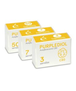 Foto Purplediol auto cbd 100% cbd elite seeds
